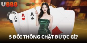 5 đôi thông chặt được gì ảnh đại diện