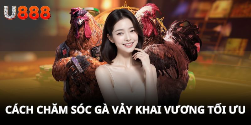 Cách chăm sóc gà có dạng vảy khai vương tối ưu