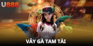 Vảy gà tam tài ảnh đại diện