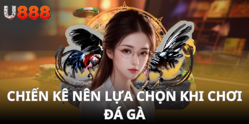 Chiến kê nên lựa chọn khi chơi đá gà