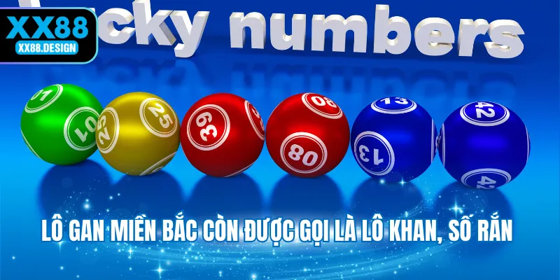 lo-gan-mien-bac-con-duoc-goi-la-lo-khan-so-ran