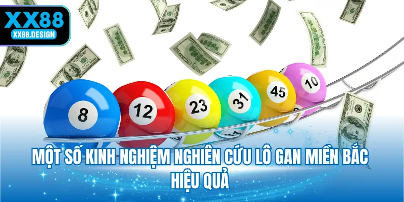 mot-so-kinh-nghiem-nghien-cuu-lo-gan-mien-bac-hieu-qua-cho-nguoi-moi